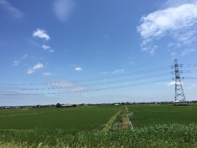 f:id:rondo_carrousel136:20150531180639j:image f:id:rondo_carrousel136:20150531180639j:image