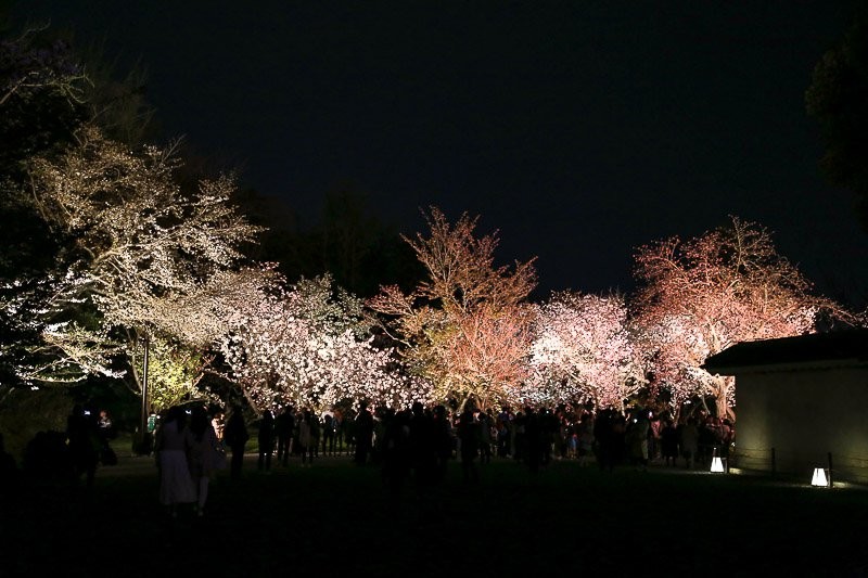 f:id:ropross:20160414163811j:plain f:id:ropross:20160414163811j:plain