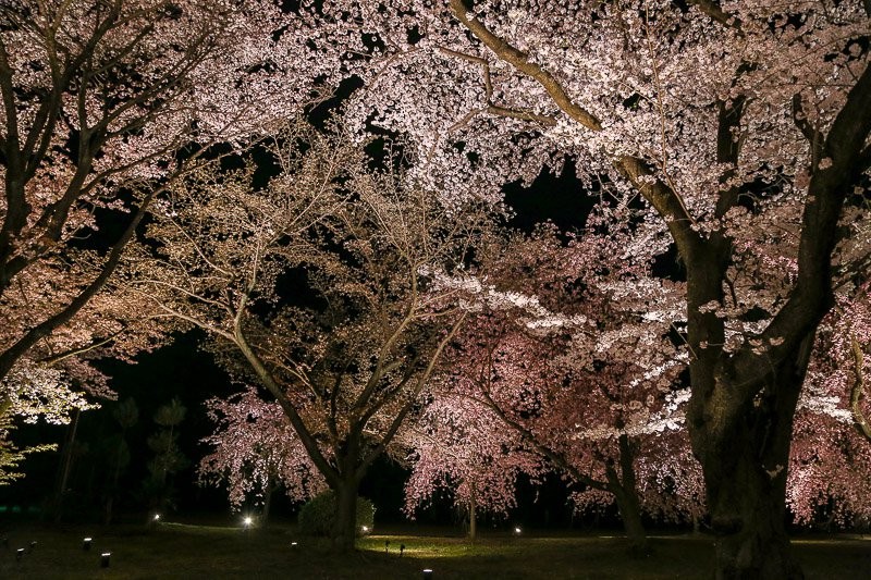 f:id:ropross:20160414163815j:plain f:id:ropross:20160414163815j:plain