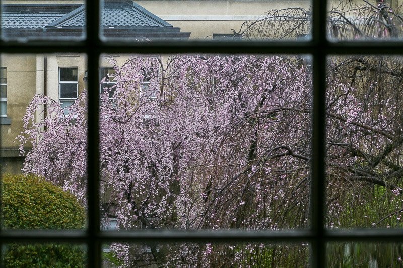 f:id:ropross:20160414163819j:plain f:id:ropross:20160414163819j:plain