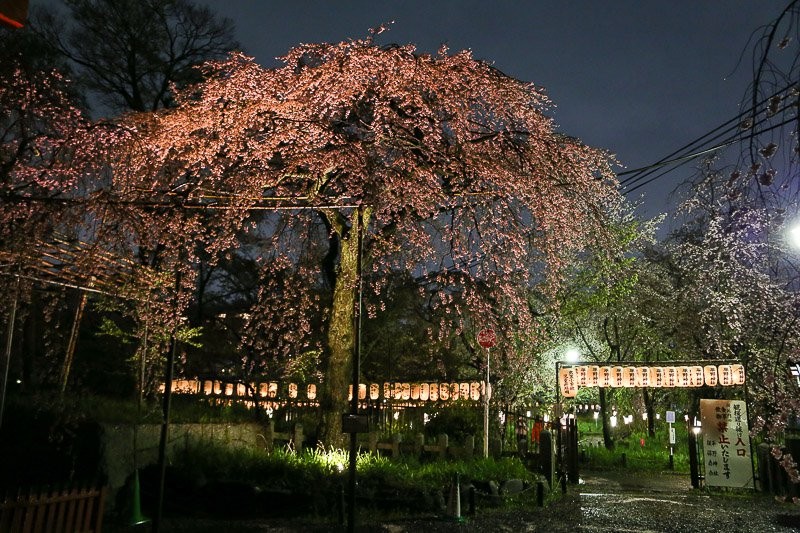 f:id:ropross:20160414163823j:plain f:id:ropross:20160414163823j:plain