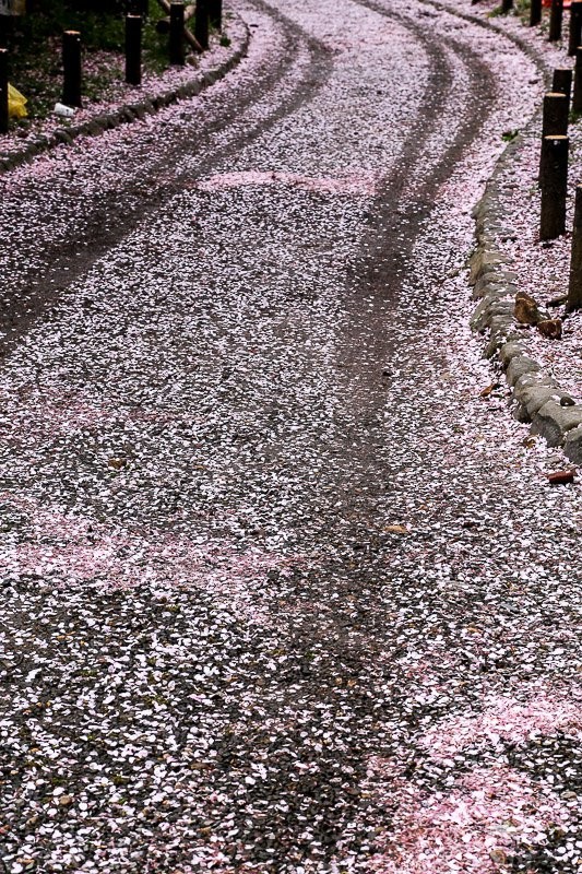 f:id:ropross:20160414163825j:plain f:id:ropross:20160414163825j:plain