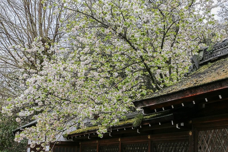 f:id:ropross:20160414163826j:plain f:id:ropross:20160414163826j:plain