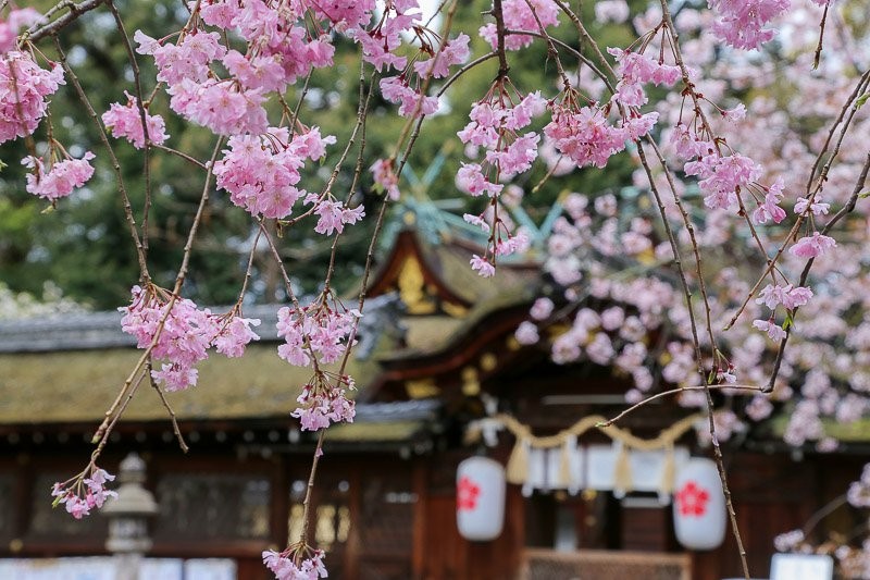 f:id:ropross:20160414163829j:plain f:id:ropross:20160414163829j:plain