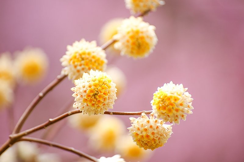 f:id:ropross:20160414163841j:plain f:id:ropross:20160414163841j:plain