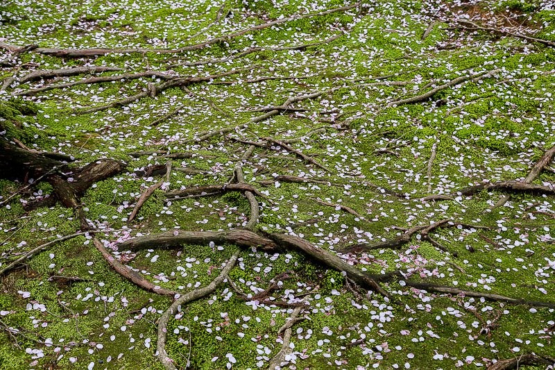 f:id:ropross:20160414163848j:plain f:id:ropross:20160414163848j:plain