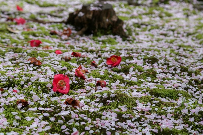 f:id:ropross:20160414163850j:plain f:id:ropross:20160414163850j:plain