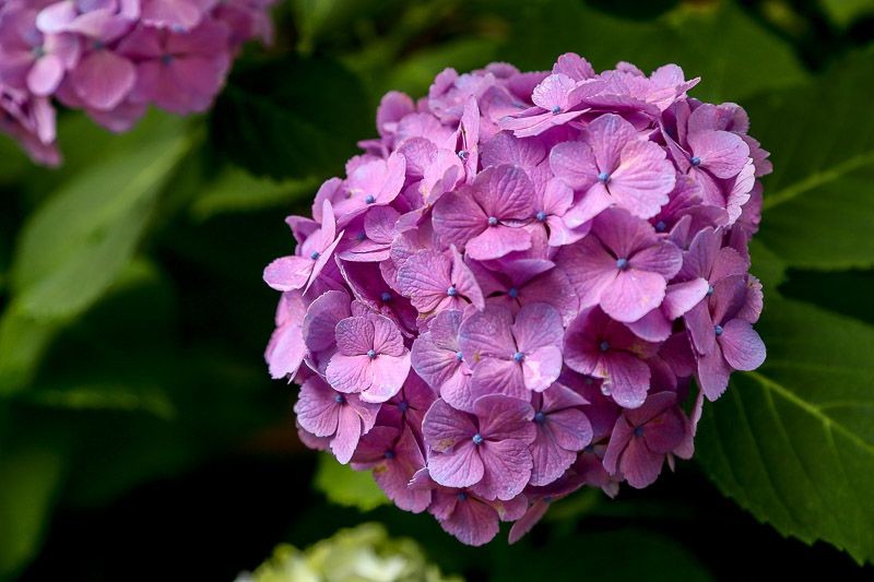 f:id:ropross:20160718160613j:plain f:id:ropross:20160718160613j:plain