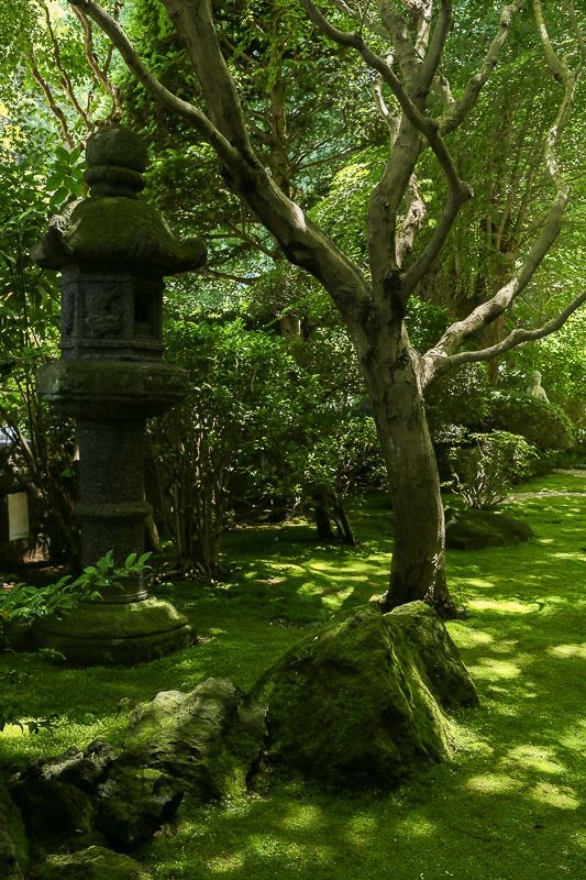 f:id:ropross:20160718160622j:plain f:id:ropross:20160718160622j:plain