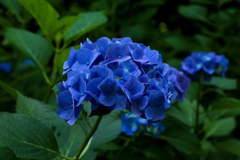 f:id:ropross:20160718160623j:plain f:id:ropross:20160718160623j:plain