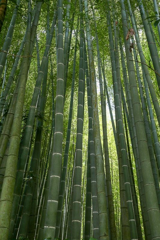 f:id:ropross:20160718160624j:plain f:id:ropross:20160718160624j:plain