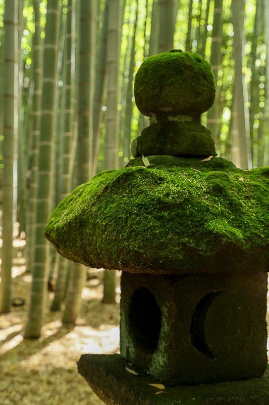 f:id:ropross:20160718160625j:plain f:id:ropross:20160718160625j:plain