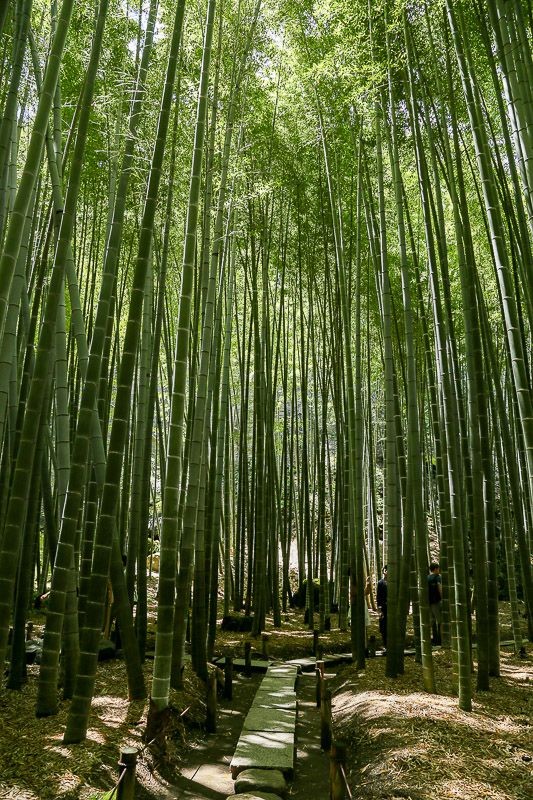 f:id:ropross:20160718160626j:plain f:id:ropross:20160718160626j:plain