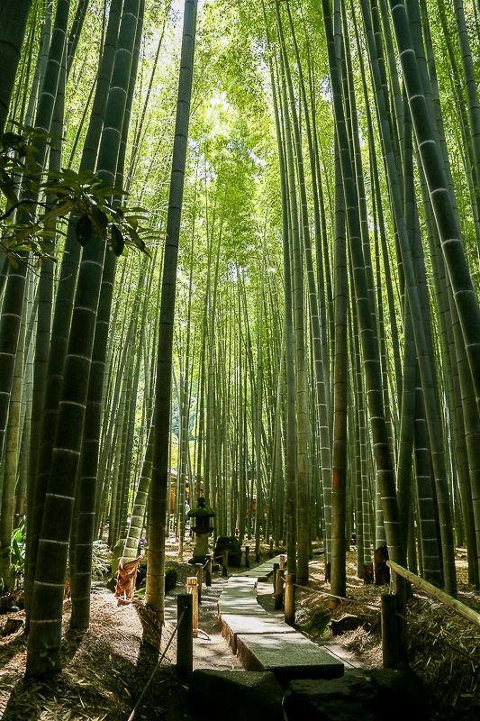 f:id:ropross:20160718160627j:plain f:id:ropross:20160718160627j:plain