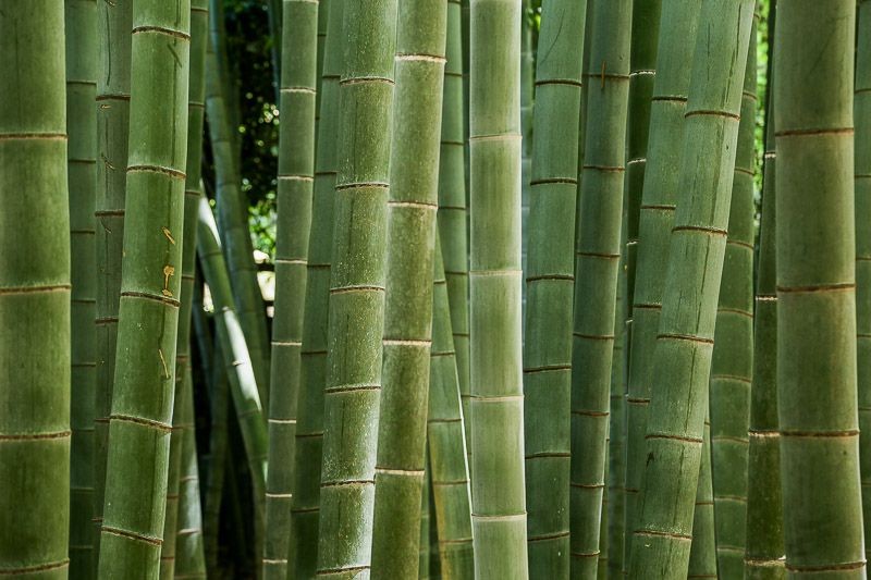 f:id:ropross:20160718160628j:plain f:id:ropross:20160718160628j:plain