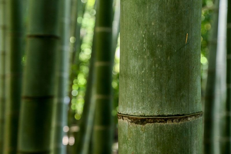 f:id:ropross:20160718160629j:plain f:id:ropross:20160718160629j:plain