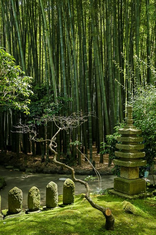 f:id:ropross:20160718160632j:plain f:id:ropross:20160718160632j:plain