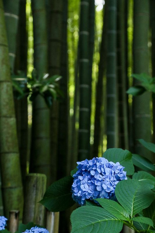 f:id:ropross:20160718160634j:plain f:id:ropross:20160718160634j:plain