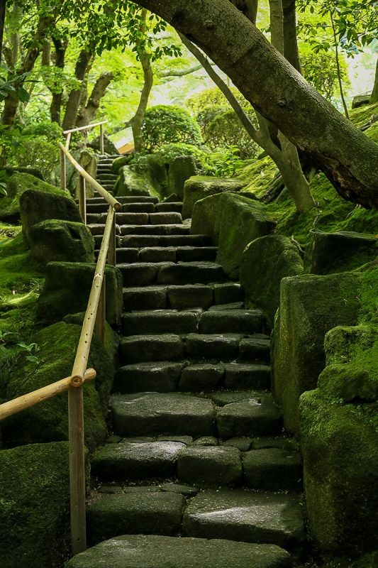 f:id:ropross:20160718160635j:plain f:id:ropross:20160718160635j:plain