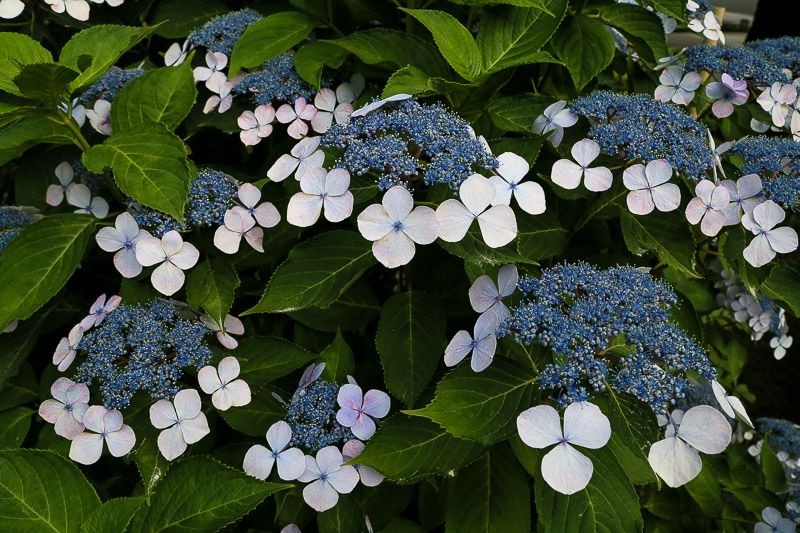 f:id:ropross:20160718160647j:plain f:id:ropross:20160718160647j:plain