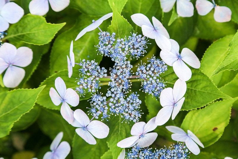 f:id:ropross:20160718160648j:plain f:id:ropross:20160718160648j:plain