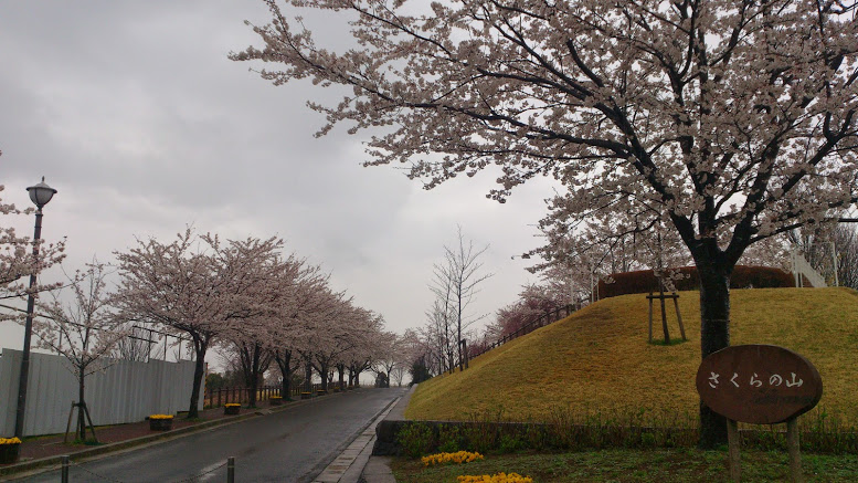 f:id:roshi1970:20140403161004j:plain f:id:roshi1970:20140403161004j:plain