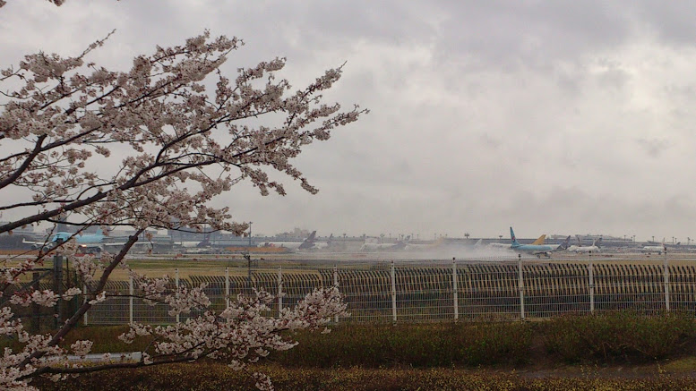 f:id:roshi1970:20140403161018j:plain f:id:roshi1970:20140403161018j:plain