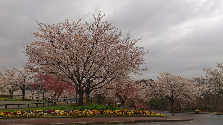 f:id:roshi1970:20140403161103j:plain f:id:roshi1970:20140403161103j:plain