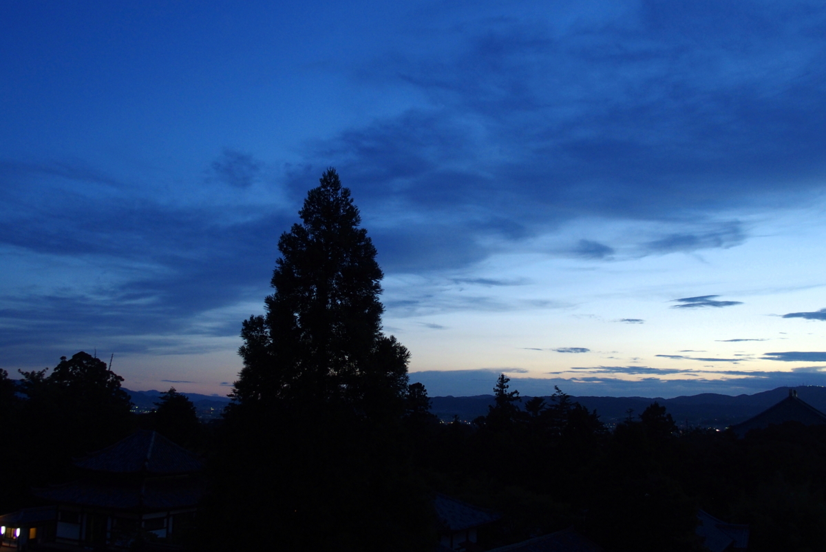 f:id:rotarakusano:20140902182054j:plain f:id:rotarakusano:20140902182054j:plain
