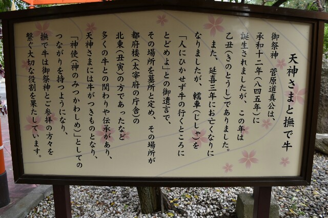 f:id:rskud:20160504210853j:image f:id:rskud:20160504210853j:image
