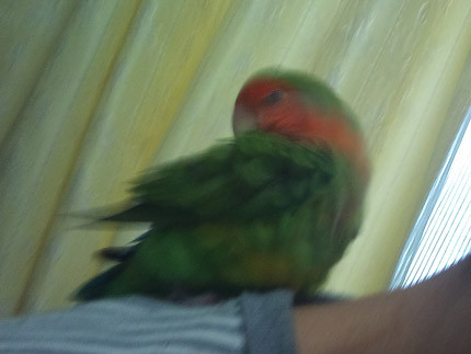 f:id:ru_shalm:20140911010452j:plain f:id:ru_shalm:20140911010452j:plain