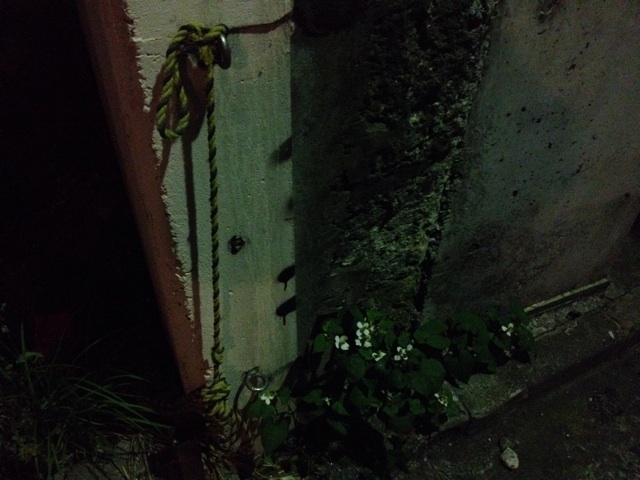 f:id:ruemui:20140529005706j:plain f:id:ruemui:20140529005706j:plain