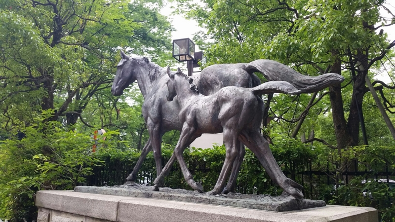 f:id:runninghorse:20150621081341j:plain f:id:runninghorse:20150621081341j:plain