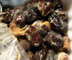 f:id:runningwater:20140907210714j:plain f:id:runningwater:20140907210714j:plain