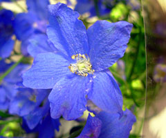 f:id:runningwater:20150630015408j:plain