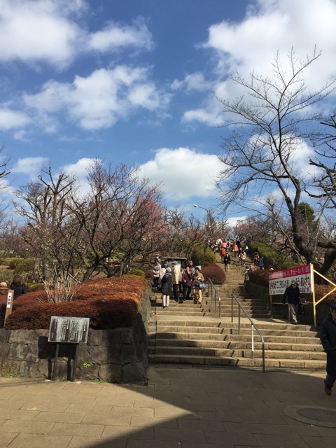 f:id:runrunrunrunning:20150221141915j:plain f:id:runrunrunrunning:20150221141915j:plain