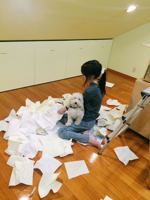 f:id:ruri_keyaki:20150219213921j:plain f:id:ruri_keyaki:20150219213921j:plain
