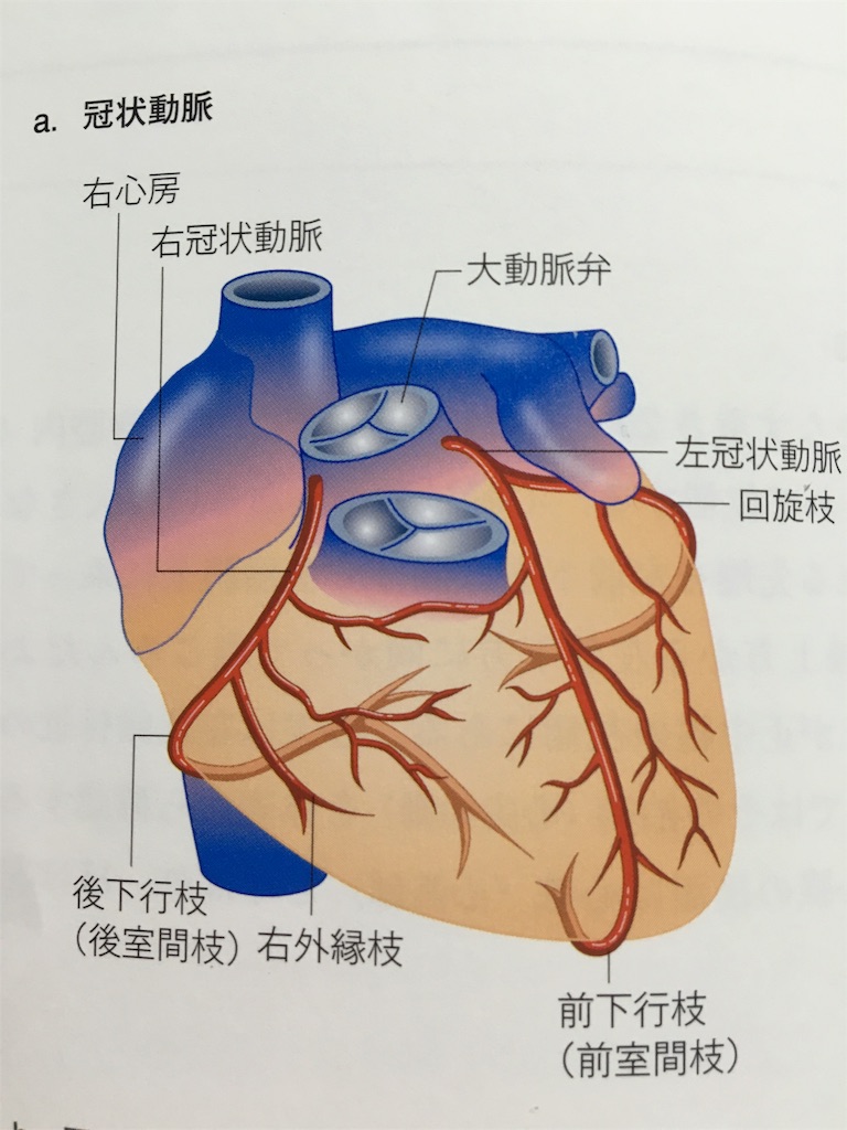 f:id:ruruuun:20160430215720j:image f:id:ruruuun:20160430215720j:image