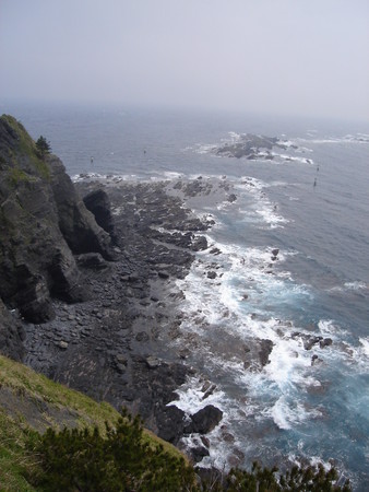 f:id:ruzia:20070504140609j:image:w100 f:id:ruzia:20070504140609j:image:w100