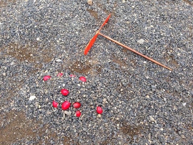 f:id:ryo71724:20151004214428j:plain