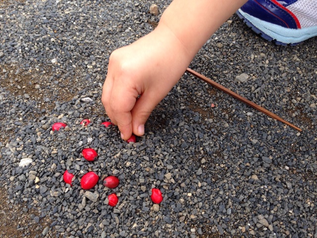 f:id:ryo71724:20151004214517j:plain