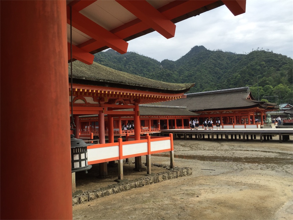 f:id:ryo__ta:20160528214141j:image f:id:ryo__ta:20160528214141j:image