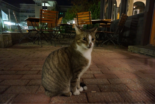 f:id:ryo_nyamo:20131022173211j:plain f:id:ryo_nyamo:20131022173211j:plain