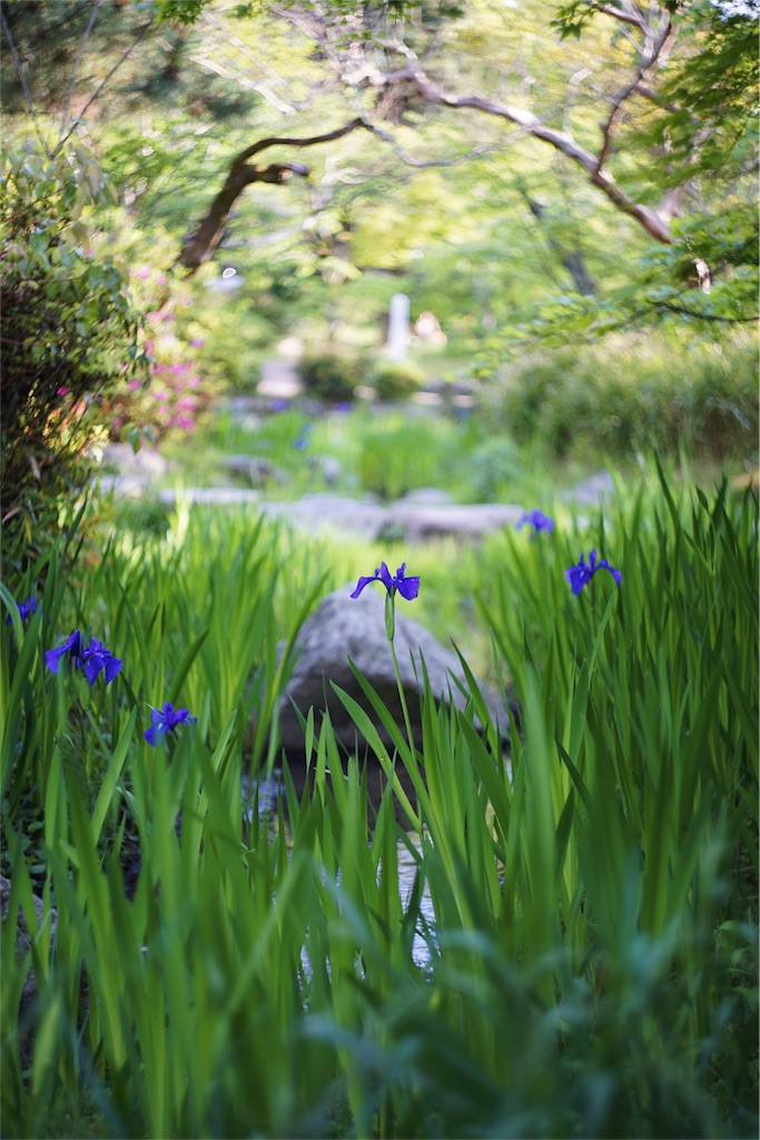 f:id:ryo_pan:20160429231802j:image f:id:ryo_pan:20160429231802j:image
