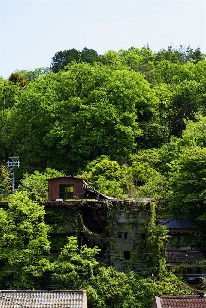 f:id:ryo_pan:20160430235658j:image f:id:ryo_pan:20160430235658j:image