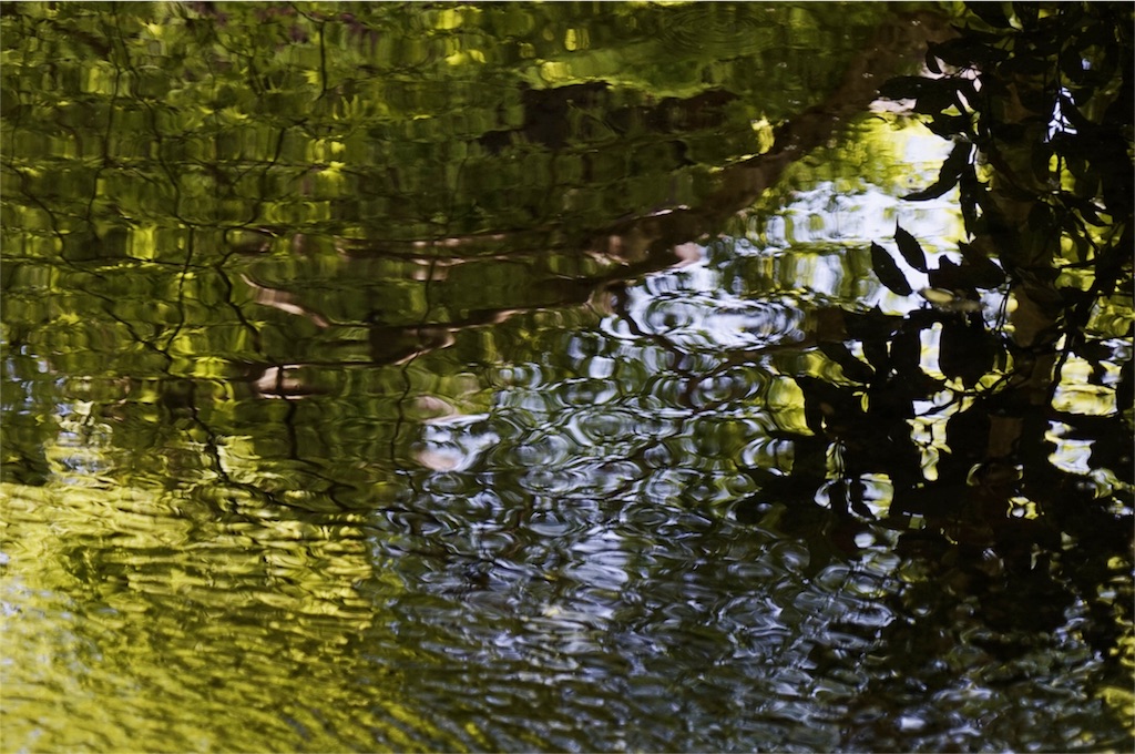 f:id:ryo_pan:20160430235738j:image f:id:ryo_pan:20160430235738j:image