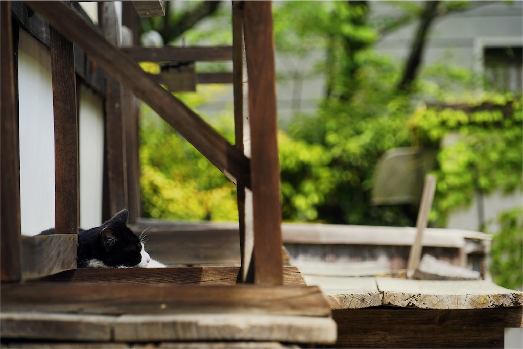 f:id:ryo_pan:20160503112116j:image f:id:ryo_pan:20160503112116j:image