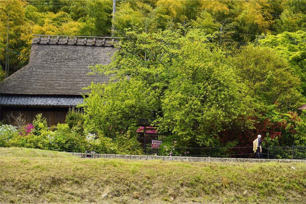 f:id:ryo_pan:20160503112201j:image f:id:ryo_pan:20160503112201j:image
