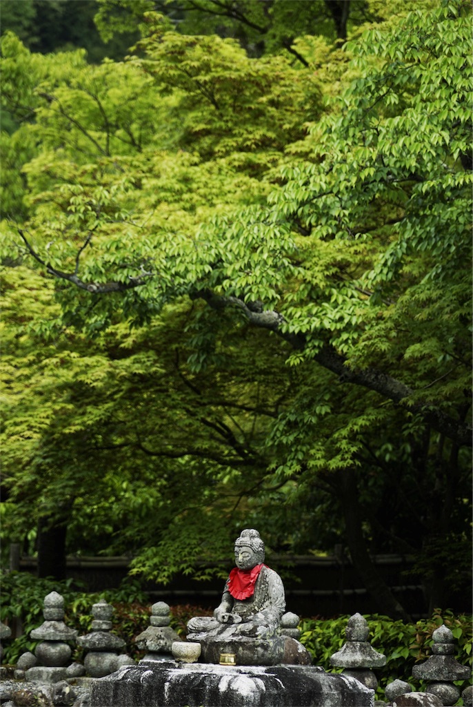 f:id:ryo_pan:20160503112216j:image f:id:ryo_pan:20160503112216j:image