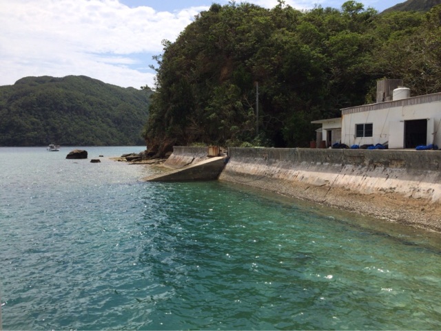 f:id:ryokichisan:20151008170704j:plain f:id:ryokichisan:20151008170704j:plain